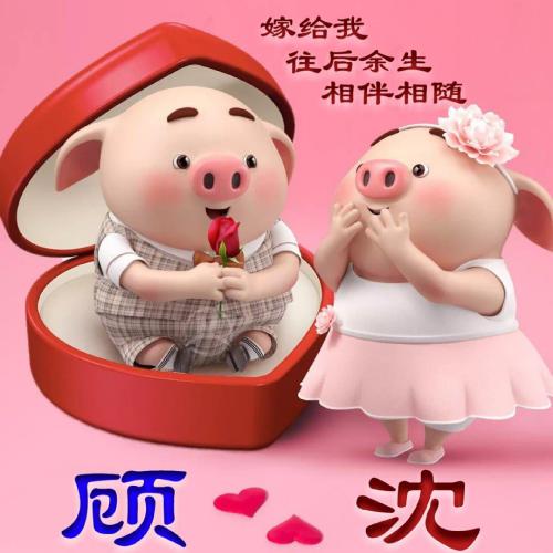 可爱卡通小猪情侣头像